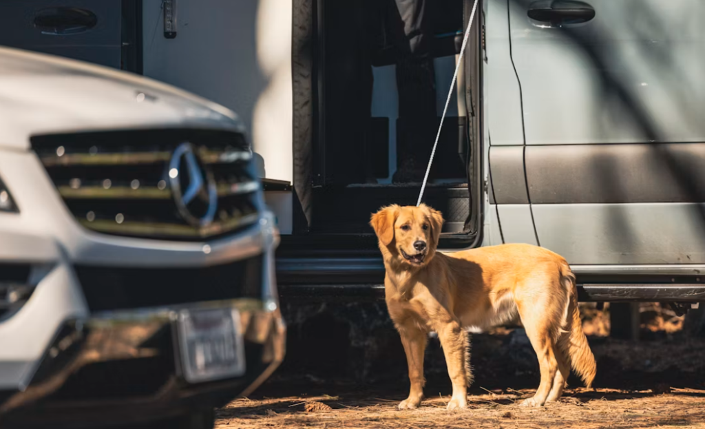 Guía para Alquilar Autocaravanas Pet Friendly en Granada